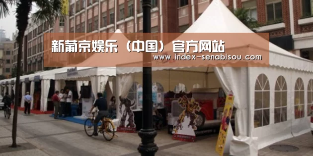 案例标题九