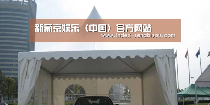 案例标题八