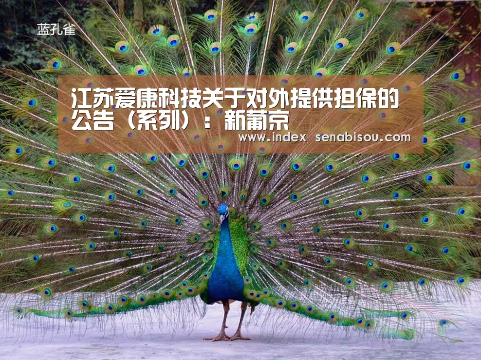 江苏爱康科技关于对外提供担保的公告（系列）：新葡京