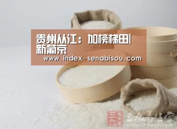 贵州从江:加榜梯田|新葡京