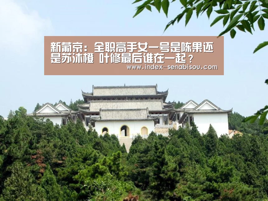 新葡京
