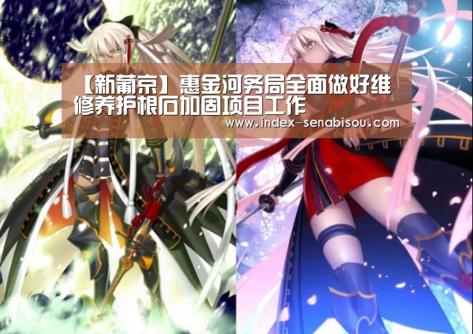 【新葡京】惠金河务局全面做好维修养护根石加固项目工作(图2) 新葡京