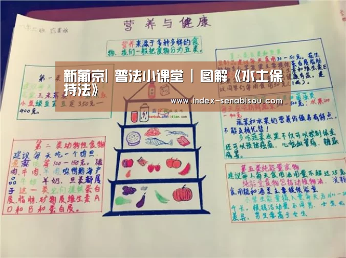 新葡京|
普法小课堂 | 图解《水土保持法》(图3) 新葡京