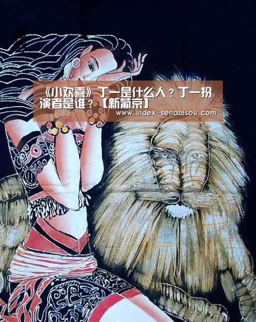 《小欢喜》丁一是什么人？丁一扮演者是谁？【新葡京】